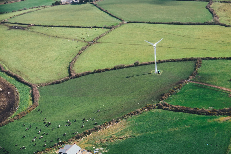 Bild zu Laues Lüftchen statt frischer Wind? Gesetzliche Nachjustierung bei den Ausschreibungen für Windenergie an Land