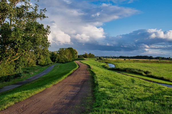 Bild zu Photovoltaik trifft Landschaftsschutz: VG Halle bestätigt naturschutzrechtliche Befreiung