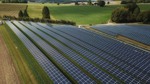 Photovoltaik fördert Biodiversität: bne-Studie liefert neue Impulse für Genehmigungsverfahren Bild zu Photovoltaik fördert Biodiversität: bne-Studie liefert neue Impulse für Genehmigungsverfahren
